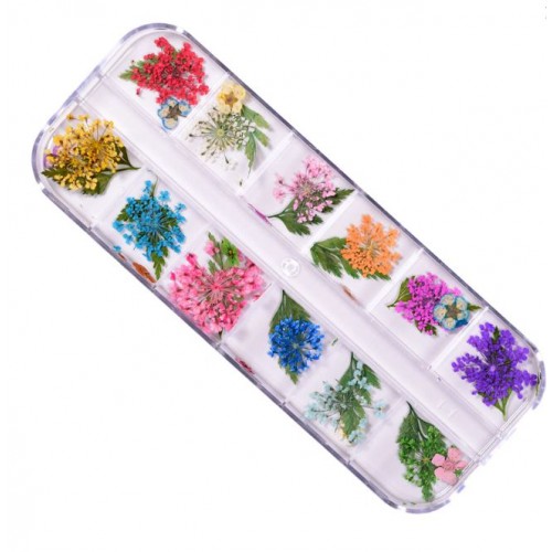 J.K Box - Dry Flower 03 (022728)