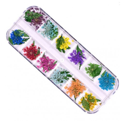 J.K Box - Dry Flower 06 (022731)