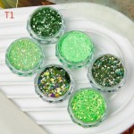 Σετ 6 Glitter Νυχιών No15 T1