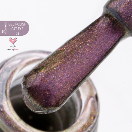 Alezori Ημιμόνιμο Βερνίκι Gel Polish Cat Eye 9D 06 (№1007) ,15ml