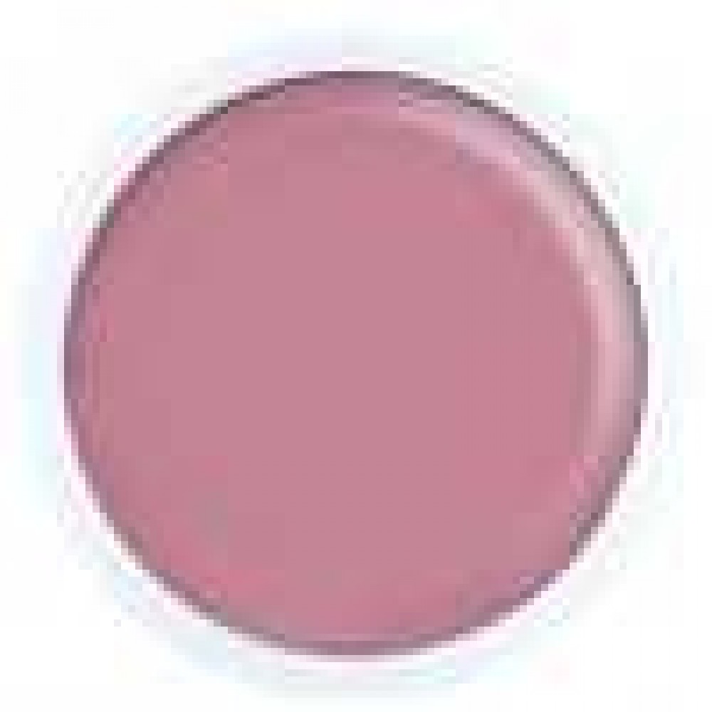 Alezori Acrygel A&G Hybrid Doll 17g , Νέα Συσκευασία