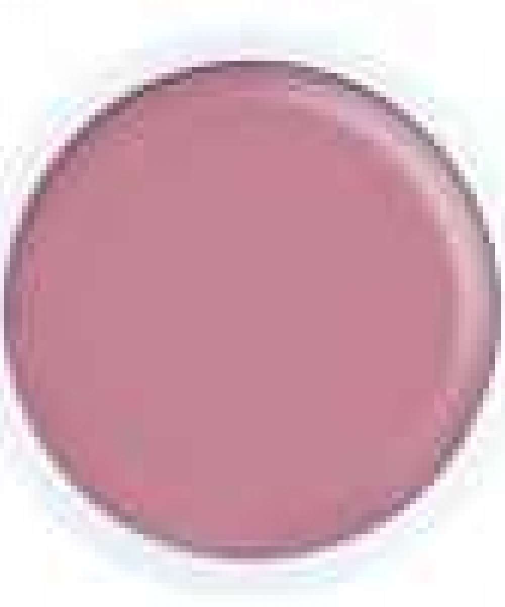 Alezori Acrygel A&G Hybrid Doll 17g , Νέα Συσκευασία