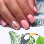 Aloha Ημιμόνιμο Βερνίκι Νυχιών Af013 Apricot ,15ml Aloha Ημιμόνιμο Βερνίκι Νυχιών Af013 Apricot ,15ml