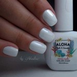 Aloha Ημιμόνιμο Βερνίκι Νυχιών Af006 French Extra White ,15ml Aloha Ημιμόνιμο Βερνίκι Νυχιών Af006 French Extra White ,15ml