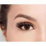 Ardell Mega Volume 250