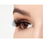 Ardell Mega Volume 250