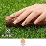 Bluesky Ημιμόνιμο Βερνίκι Νυχιών Candy Bar Picnic Time Ss2004P ,15ml Bluesky Ημιμόνιμο Βερνίκι Νυχιών Candy Bar Picnic Time Ss2004P ,15ml