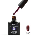 Canni Ημιμόνιμο Βερνίκι Νυχιών Cat Eye 290 ,7.3ml Canni Ημιμόνιμο Βερνίκι Νυχιών Cat Eye 290 ,7.3ml
