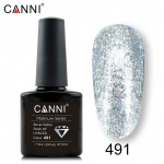 Canni Ημιμόνιμο Βερνίκι Νυχιών Platinum 491 ,7.3ml