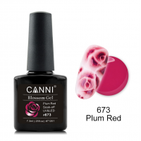 Canni Ημιμόνιμο Βερνίκι Νυχιών Blossom Gel 673 ,7.3ml *