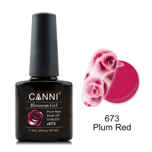 Canni Ημιμόνιμο Βερνίκι Νυχιών Blossom Gel 673 ,7.3ml *