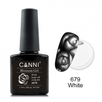 Canni Ημιμόνιμο Βερνίκι Νυχιών Blossom Gel 679 ,7.3ml