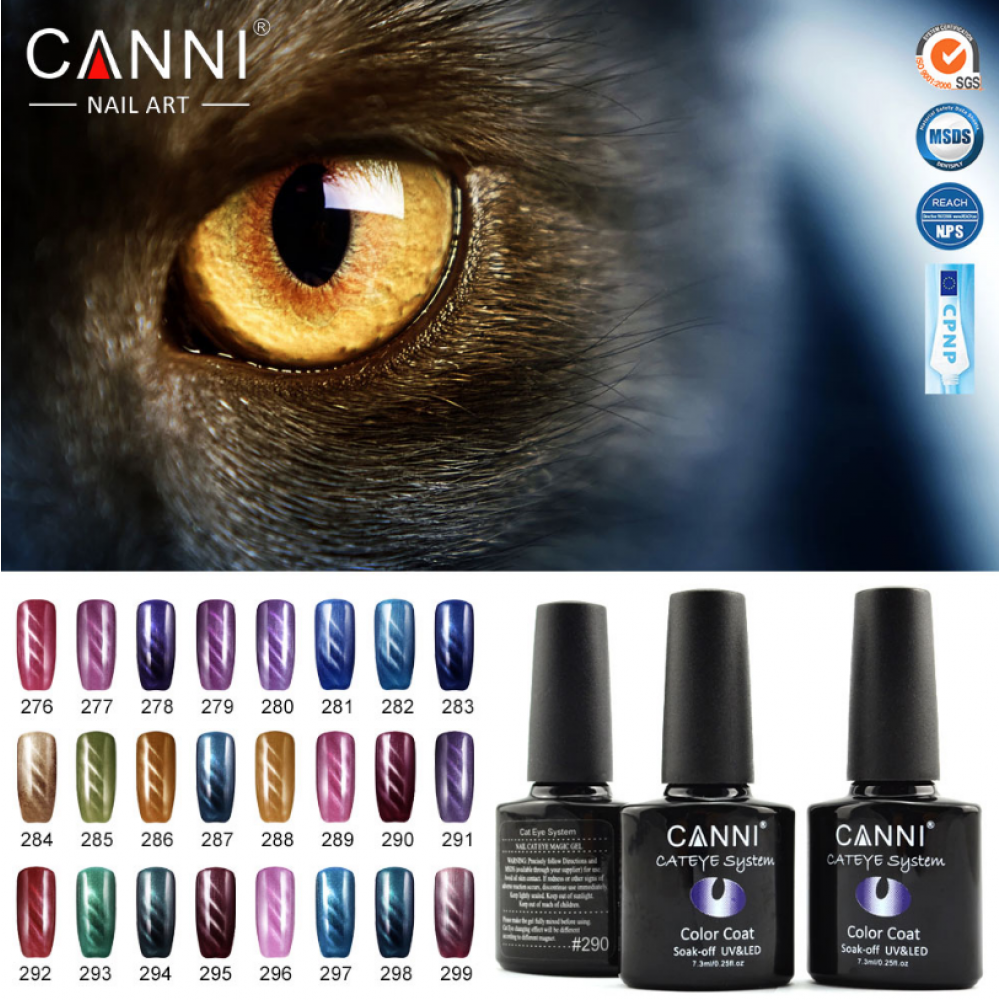 Canni Ημιμόνιμο Βερνίκι Νυχιών Cat Eye 276 ,7.3ml *