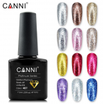 Canni Ημιμόνιμο Βερνίκι Νυχιών Platinum 491 ,7.3ml