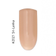 GEL IT UP 2021 SRI-LANKA 11ml GEL IT UP 2021 SRI-LANKA 11ml