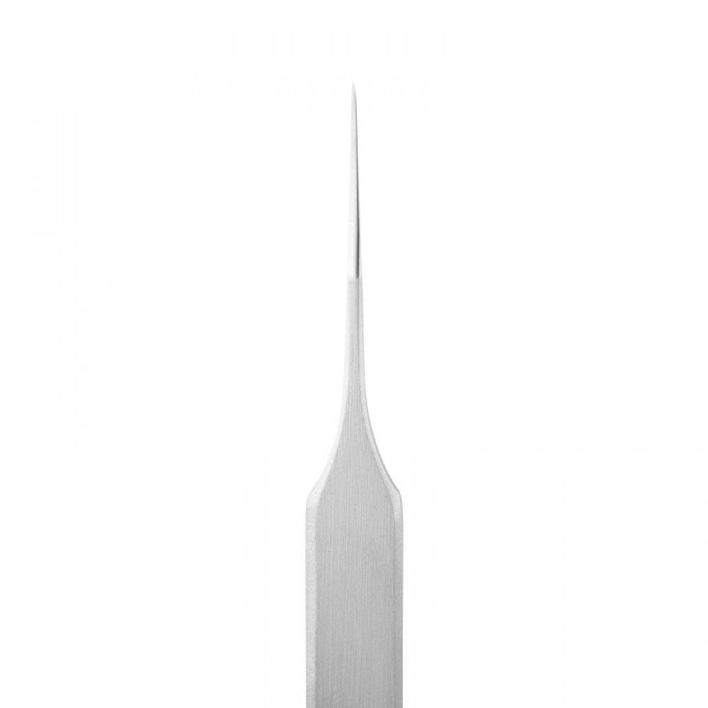 Staleks Τσιμπίδα για Extensions Expert 40 Type 10 (straight) Staleks Τσιμπίδα για Extensions Expert 40 Type 10 (straight)