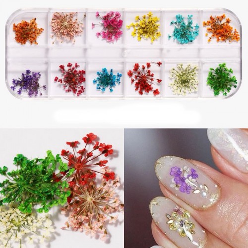 J.K Box - Dry Flower 09 (023086)