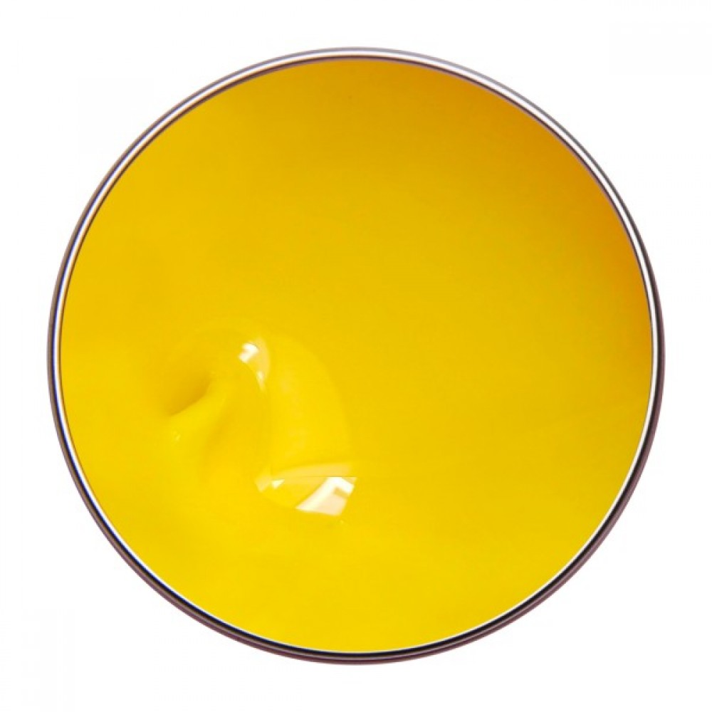 Alezori Painting Gel Sunny Yellow 3g