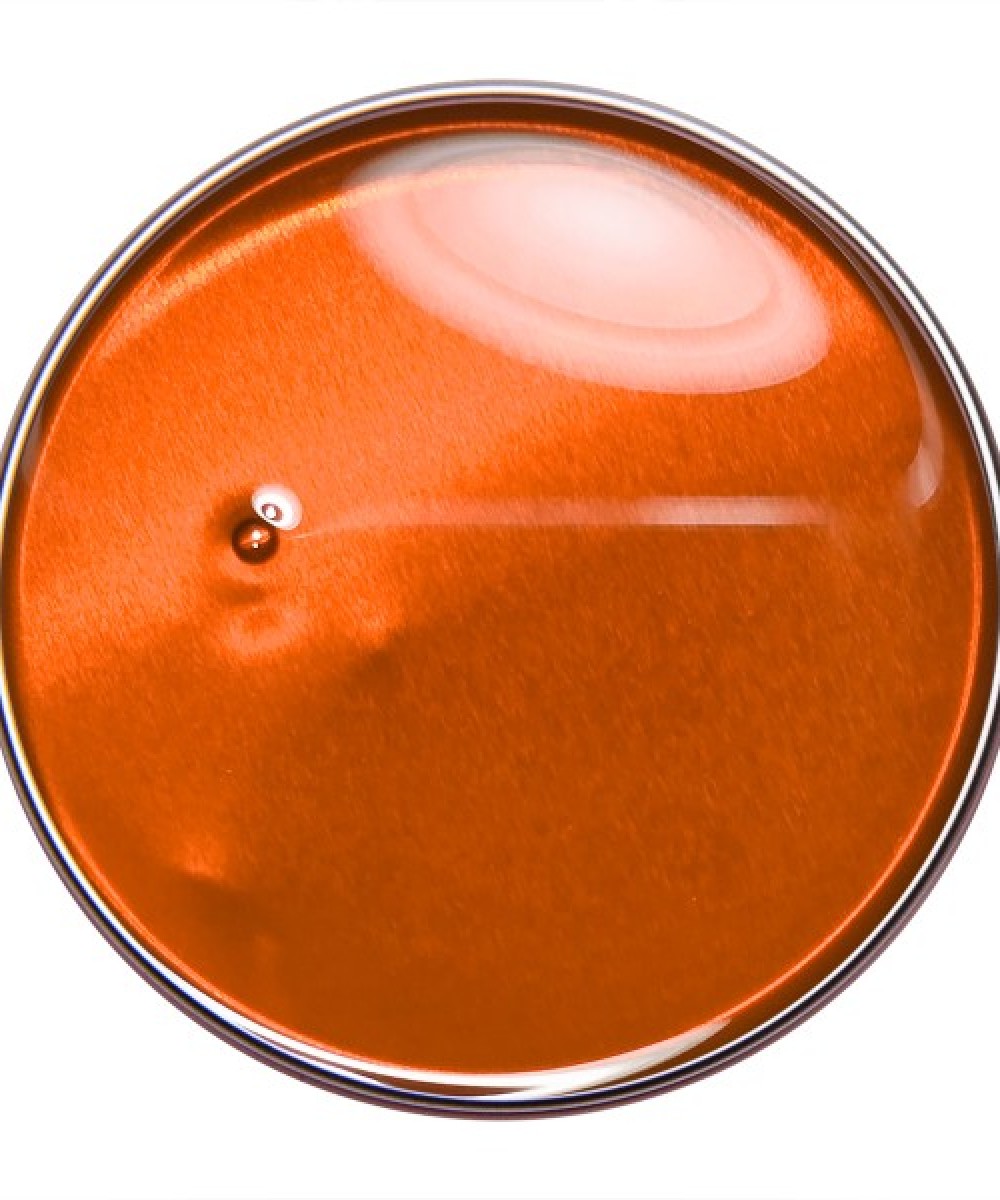 Alezori Gel Medium Glass 01 15g