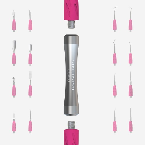 St Staleks Pro Uniq Combo Ηandle HPQ-10 Silver