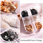 Διακοσμητικά Νυχιών Artificial Mica Flakes Διακοσμητικά Νυχιών Artificial Mica Flakes