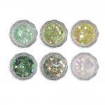 Σετ 6 Glitter Νυχιών No10 Τ5 Σετ 6 Glitter Νυχιών No10 Τ5