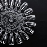Δειγματολόγιο Νυχιών Ρόδα Δάφανο 1τμχ Δειγματολόγιο Νυχιών Ρόδα Δάφανο 1τμχ