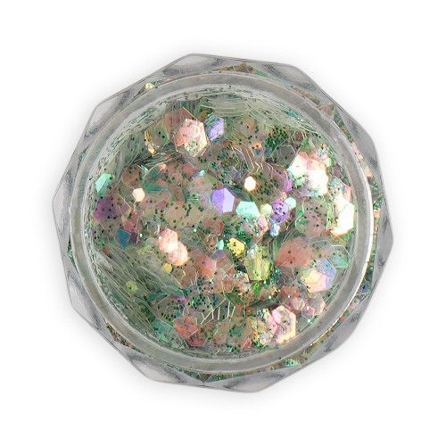 Glitter Νυχιών Με Παγιέτες   LV092