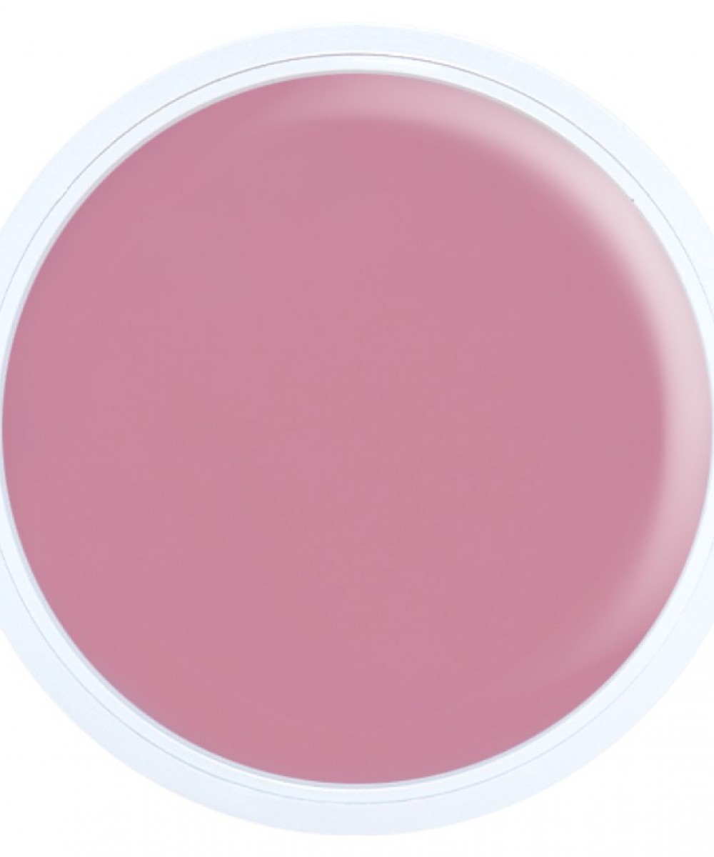 Alezori Acrygel A&G Hybrid Light Pink 100Gr Νέα Συσκευασία