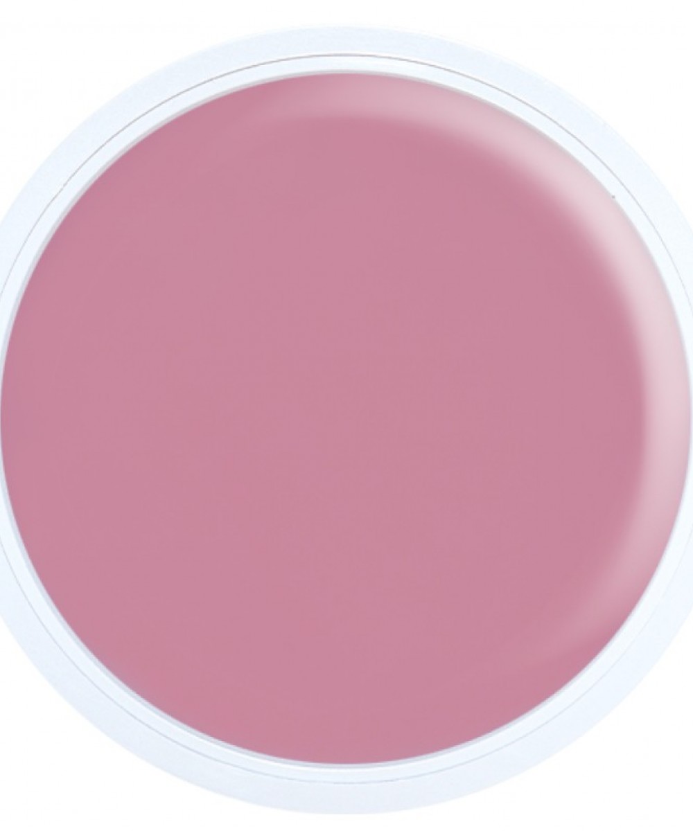 Alezori Acrygel A&G Hybrid Light Pink 30Gr Hema Free Νέα Συσκευασία