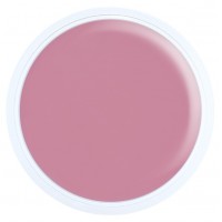 Alezori   Acrygel  A&G Hybrid Light Pink 30G  Νέα Συσκευασία