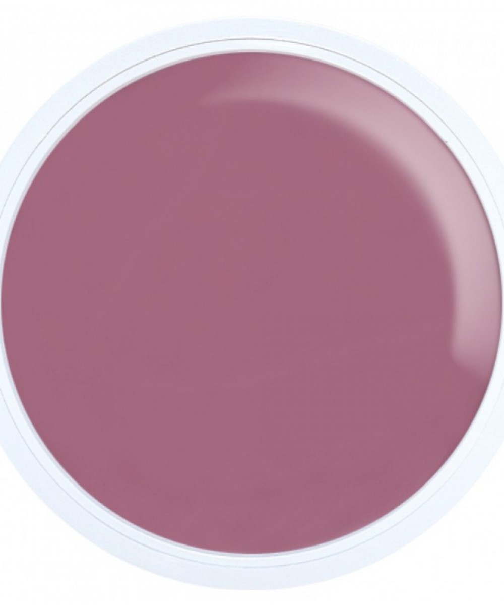 Alezori Acrygel A&G Hybrid Dark Pink 17G  Νέα Συσκευασία