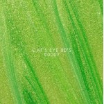 DNKa Color Gel Polish Cat Eye #0007 80`s, 12ml Hema Free