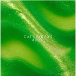 DNKa Color Gel Polish Cat Eye #0007 80`s, 12ml Hema Free