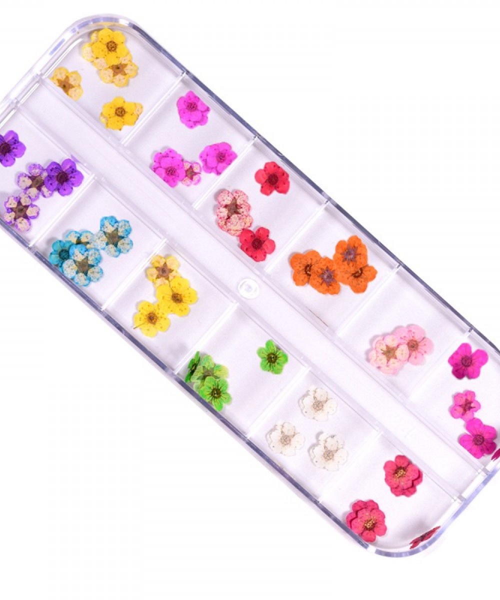 J.K Box - Dry Flower 05 (022730)