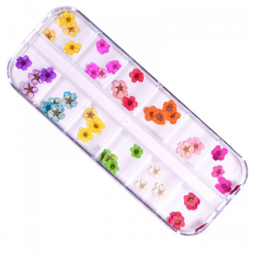 J.K Box - Dry Flower 05 (022730)