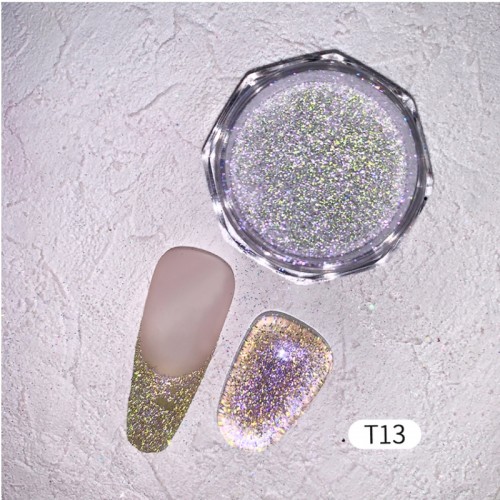 J.K Polarizing Glitter Powder 13 (022906)