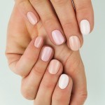 Semilac Ημιμόνιμο Βερνίκι Νυχιών Business Line 196 Total Nude 7ml Semilac Ημιμόνιμο Βερνίκι Νυχιών Business Line 196 Total Nude 7ml