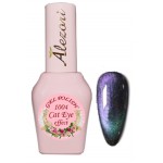Alezori Ημιμόνιμο Βερνίκι Gel Polish Cat Eye 9D 04 (№1004) ,15ml Alezori Ημιμόνιμο Βερνίκι Gel Polish Cat Eye 9D 04 (№1004) ,15ml