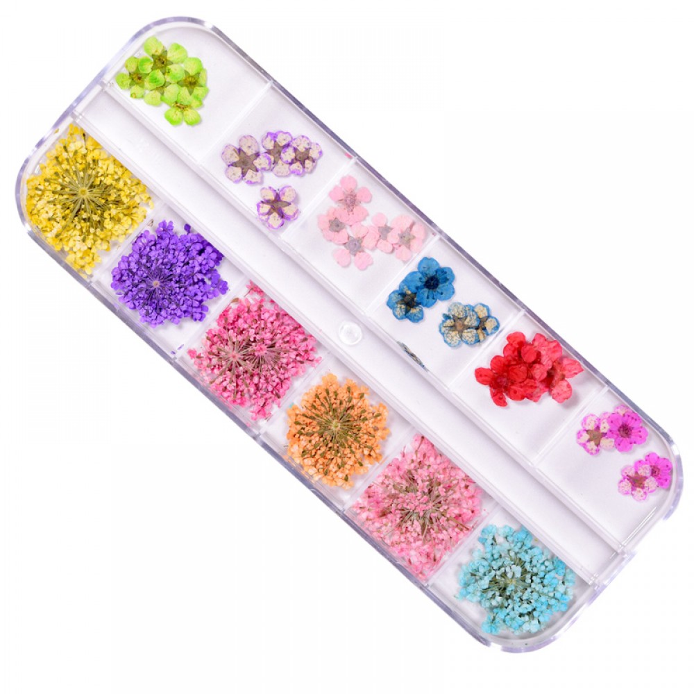 J.K Box Dry Flower 07 (022758)