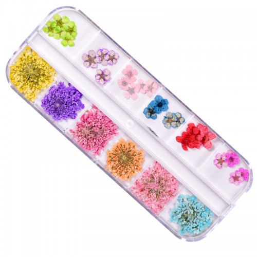 J.K Box Dry Flower 07 (022758)