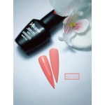 Mixcoco Ημιμόνιμο Βερνίκι Νυχιών MS 1012 15ml Mixcoco Ημιμόνιμο Βερνίκι Νυχιών MS 1012 15ml