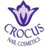 crocus
